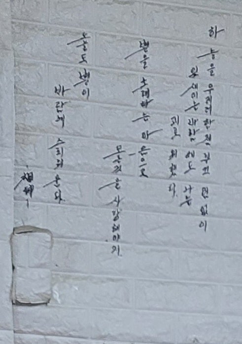 강애수장어구이 사진 6