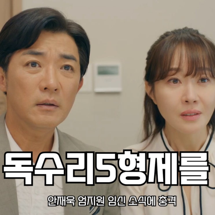 <b>독수리5형제</b>를 부탁해 52회 안재욱 <b>엄지원</b> 임신 소식에 충격... 