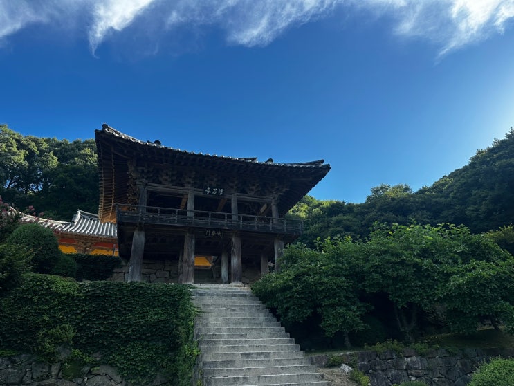 정책지식 2025.7.28.