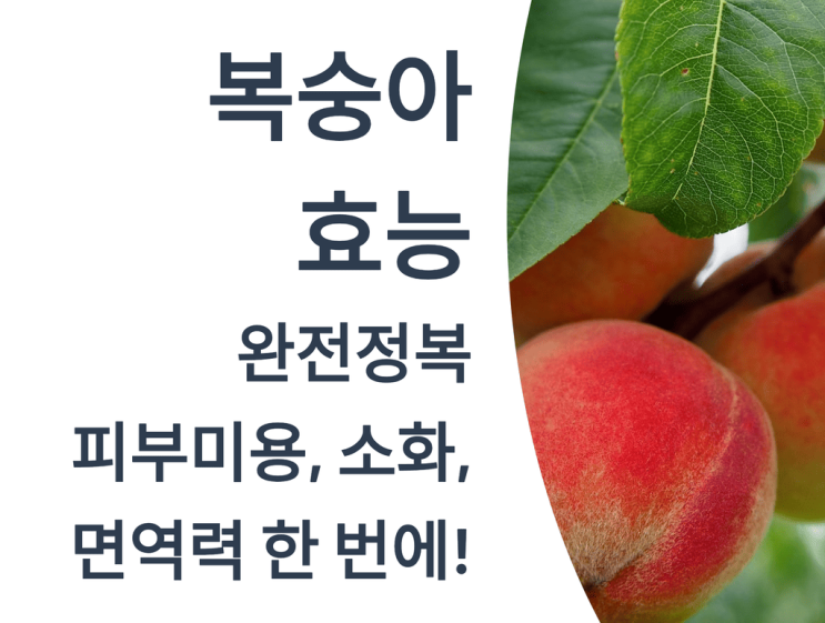  복숭아 효능 완전정복: 피부미용, 소화, 면역력 한 번에!