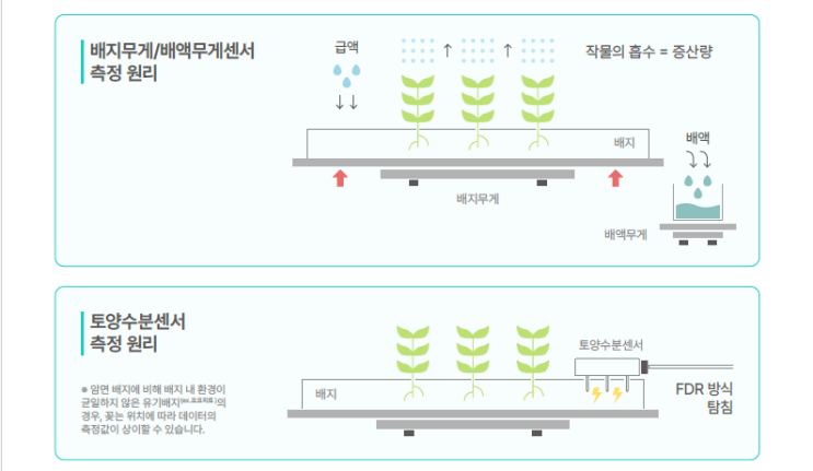  스마트팜의 핵심, 센서 자동화 시스템 – CAS가 함께합니다