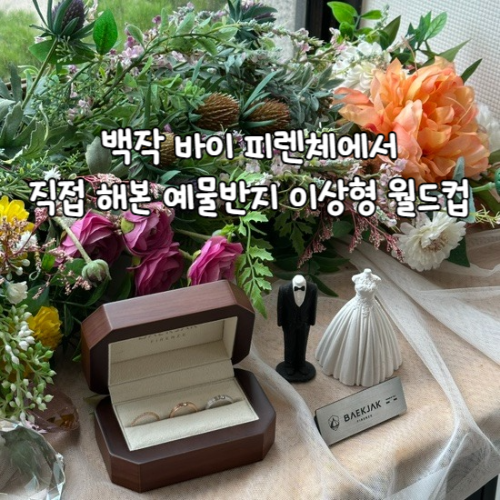  백작바이피렌체에서 직접 해본 예물반지 이상형 월드컵