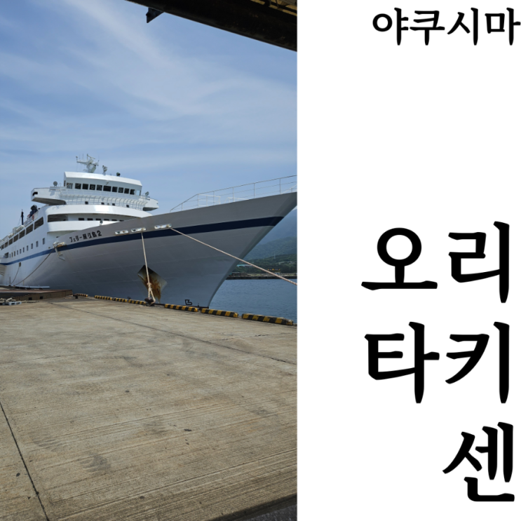  [야쿠시마여행]야쿠시마2 오리타키센 가고시마 야쿠시마 배편 비교 이동방법 위치 가격 이용방법 내부 후기