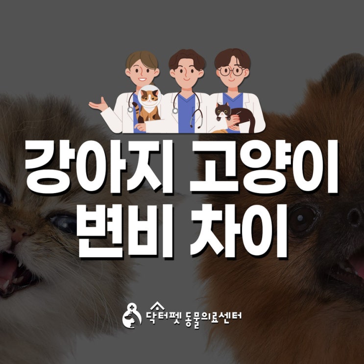  강아지와 고양이의 변비 원인 차이