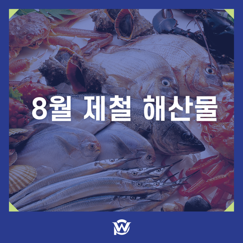 8월 제철 해산물 여름 생선회 종류 · 보관방법 tip