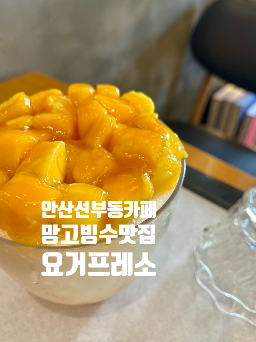 요거프레소 선부점 사진 5