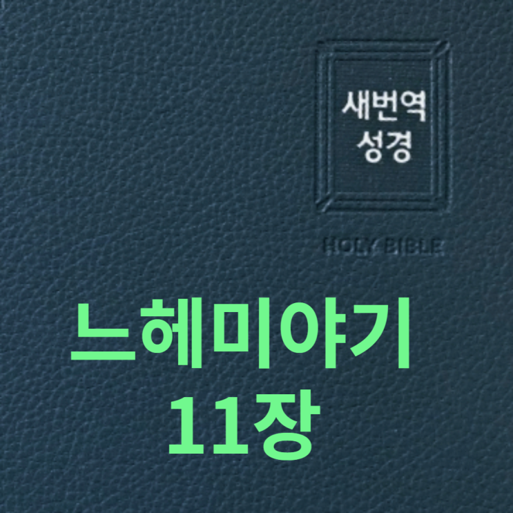  느헤미야기 11장