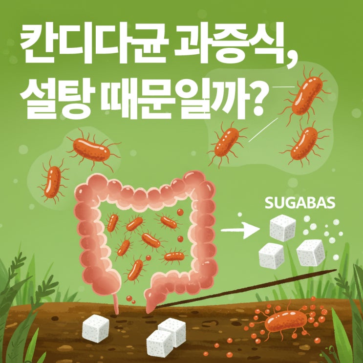  칸디다균 과증식, 설탕 때문일까? 증상부터 관리법까지!