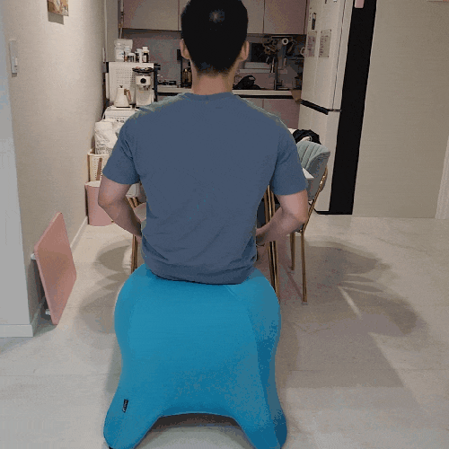 앉는 자세 교정 감씨 짐볼의자 코어 강화 의자 찐사용 후기