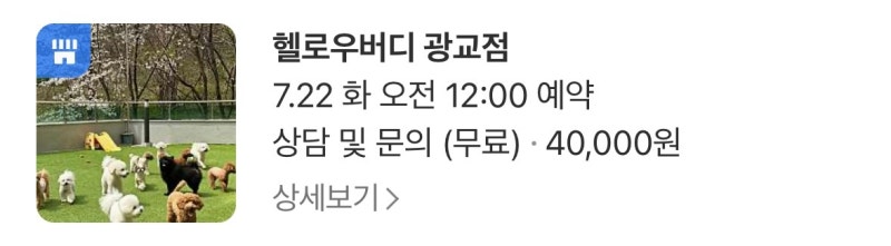 사진 5