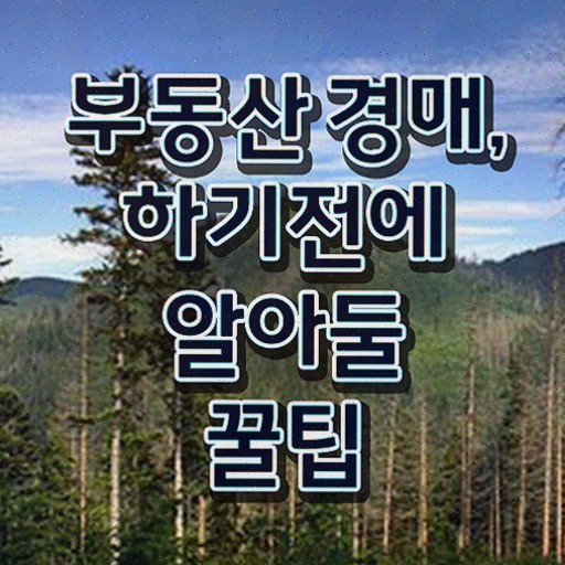  임대차 3법 시행 , 부동산권리분석사 자격증 쉽고 빠르게 취득한 정보