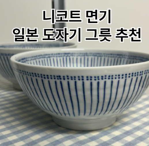일본 도자기그릇 니코트 면기 가성비 그릇 추천