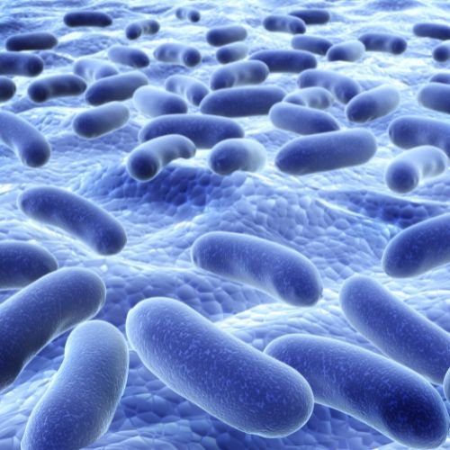 Ureaplasma parvum 의외로 흔한 감염 어떻게 예방할까?