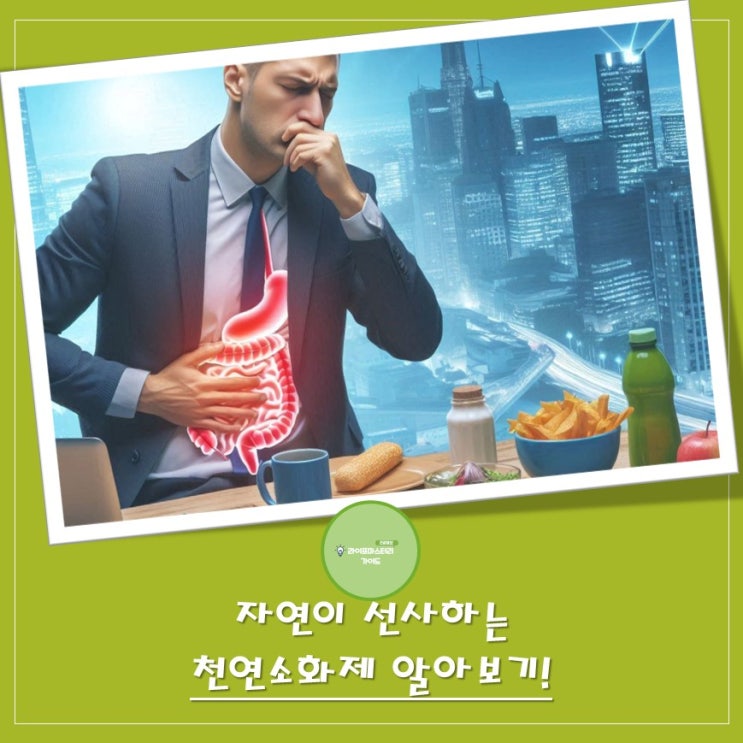  위장 건강을 위한 현명한 선택, "천연 소화제" | 자연이 선사하는 "소화 건강"에 좋은 음식은?