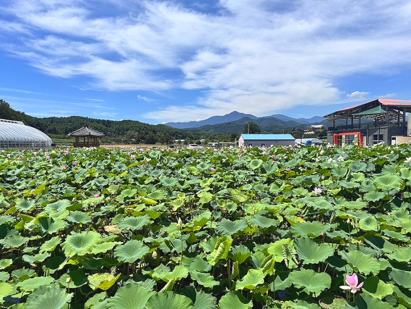 사진 6