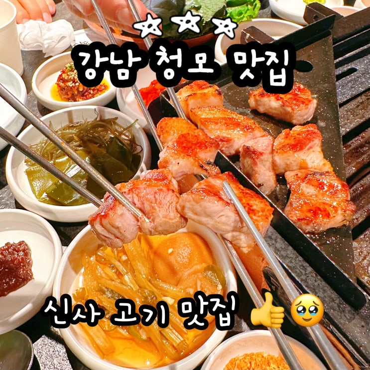  강남 청모 맛집 직화장인 신사점 장인모듬 신사 고기 맛집