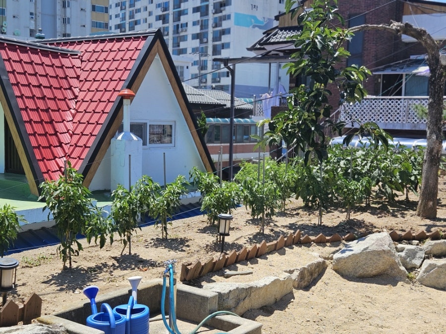 돌봉추어탕 사진 2