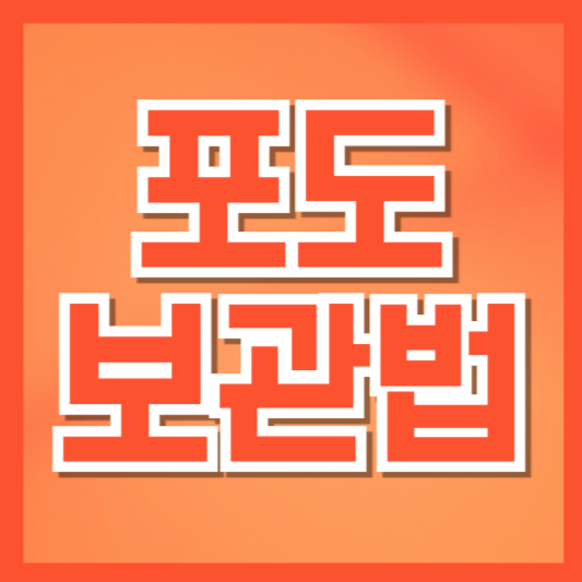  포도 보관법 | 냉장·냉동 보관기간과 품종별 차이, 신선하게 오래 먹는 꿀팁