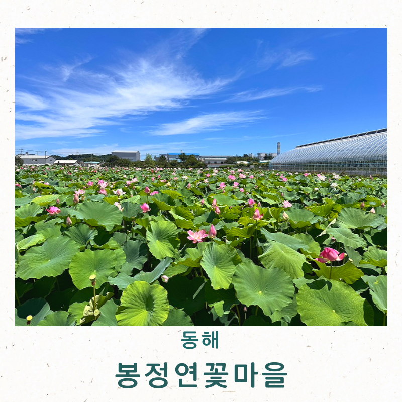 사진 5