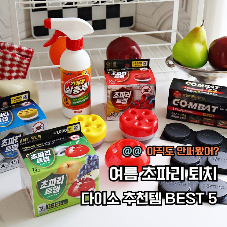  다이소 직원도 산다는 초파리트랩 꿀템 5가지