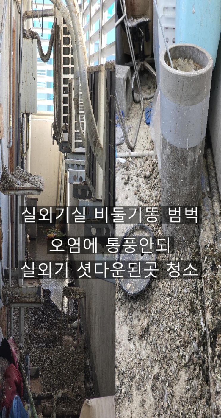  양산상가학원 창고 실외기실 비둘기똥 오염에 통풍막혀 에어컨이 계속꺼져요~!!