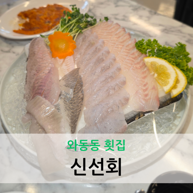  와동동 횟집 활어회 전문점 새로 오픈한 신선회