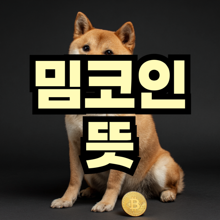밈코인 뜻 도지코인 종류 특징 시세 투자 주의사항 전망