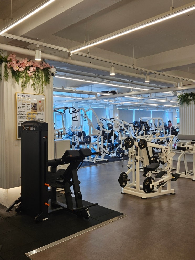  선부동 헬스장 9회차, 10회차 pt 후기 빌리프짐