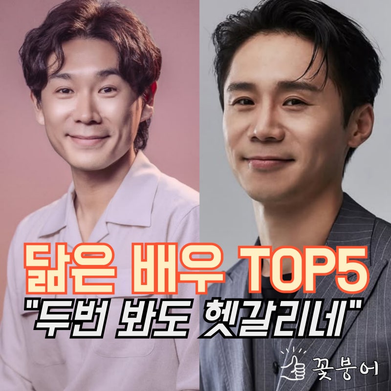 닮은꼴 배우들 두번 봐도 헷갈리네 TOP5
