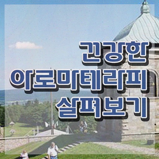  아로마뷰티diy지도사 수업 , 15일 만에 취득한 과정 정리