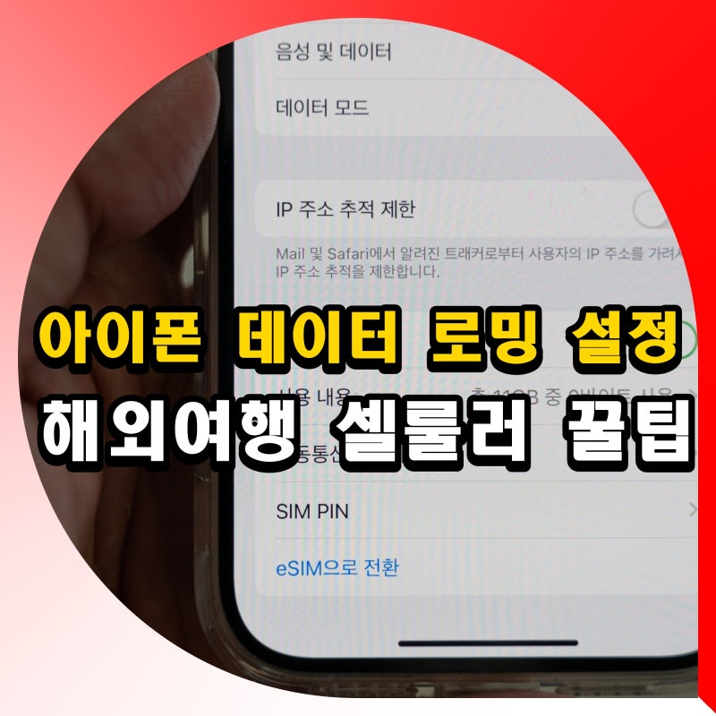 아이폰 데이터 로밍 설정 방법 해외여행 셀룰러