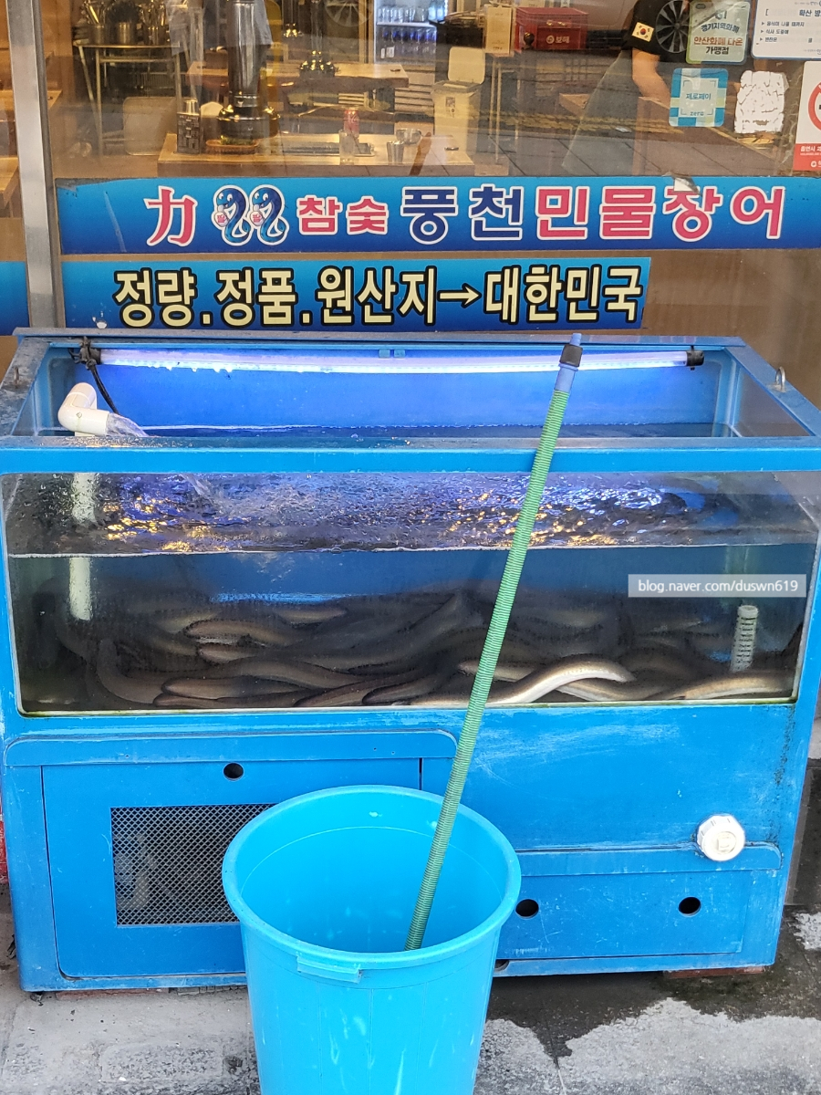 력참숯풍천민물장어 사진 3