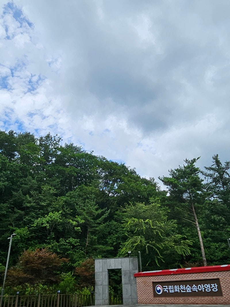 사진 8