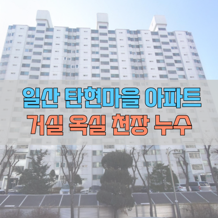 # 일산서구 탄현동(탄현로) 탄현마을 아파트 욕실 누수 #
