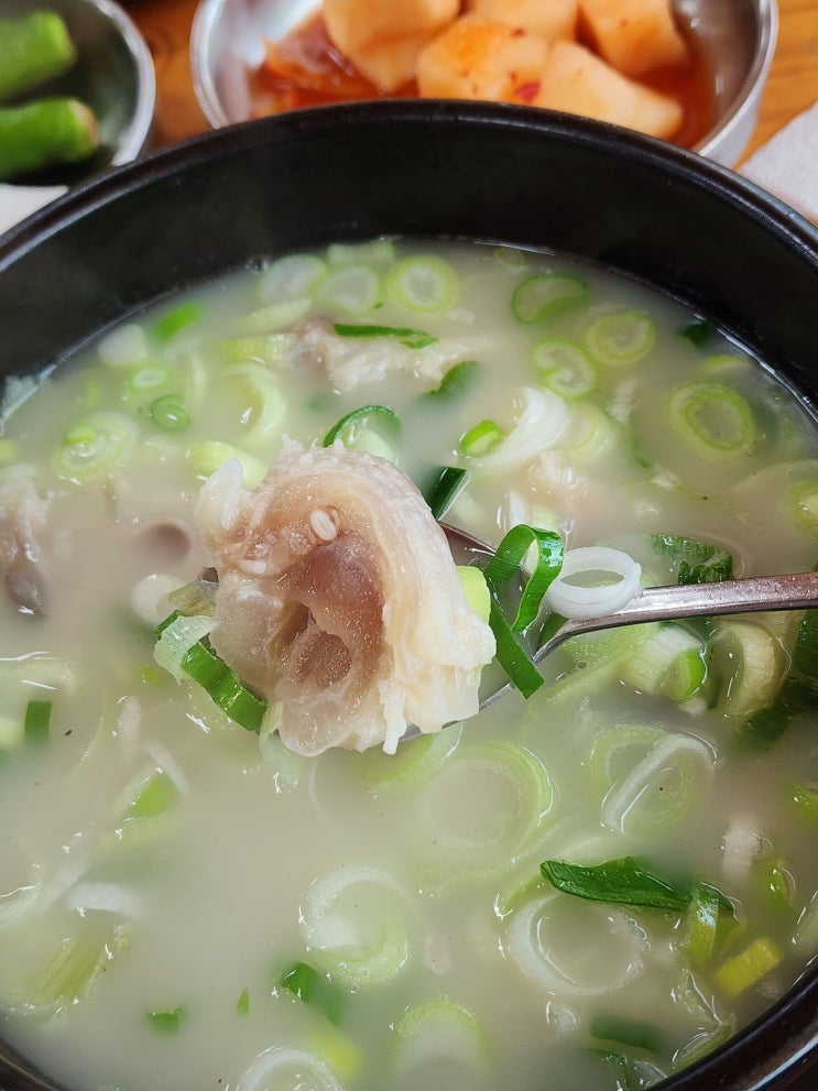  남양주맛집 전주곰탕 고산로54, 진한 도가니탕 한 그릇