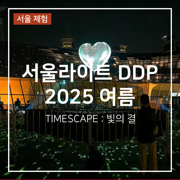 <b>서울라이트 DDP 2025</b> 여름 기본정보 주차 일정 시간 및 작품... 