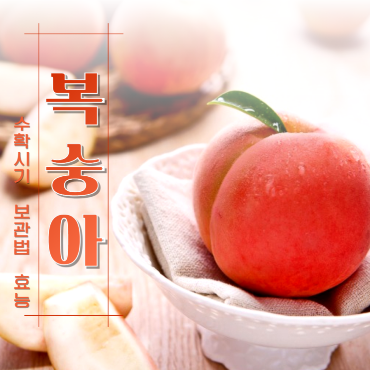  복숭아 수확시기 보관법 후숙 효능