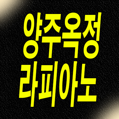  양주 옥정신도시 단독주택 분양가 옥정동 라피아노 스위첸 특별분양
