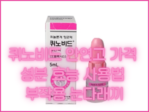 퀴노비드 안연고 가격 성분 효능 사용법 부작용 눈다래끼