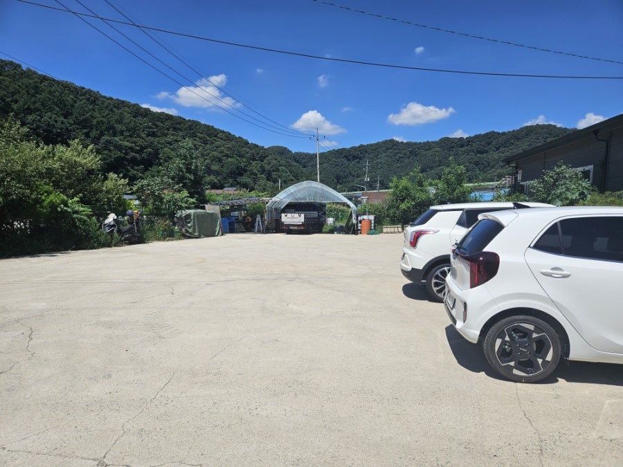 해물요리전문점 등대 사진 2