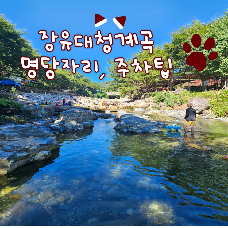  장유대청계곡 부산근교 물놀이 최고의명당자리는 어디? 주차팁! 필수품!