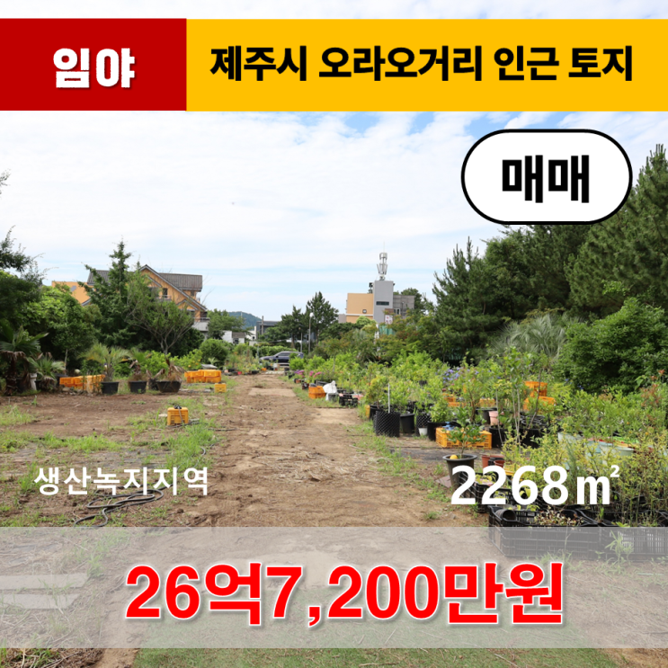  《제주도토지》 제주시 오라동 오라교차로 인근 임야 매매