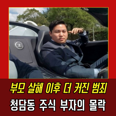  이희진 주식 사건, 청담동 주식 부자 형제의 범죄와 비극적인 몰락
