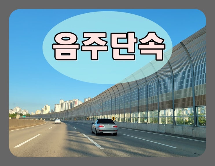  휴가철 음주단속 숙취운전 조심해야