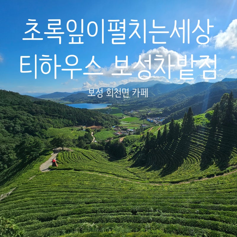 사진 3