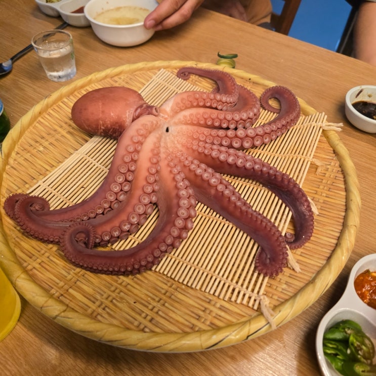  [ 포항 효자맛집 ] 『 주야포차 』 통문어숙회, 고동숙회 솔직후기