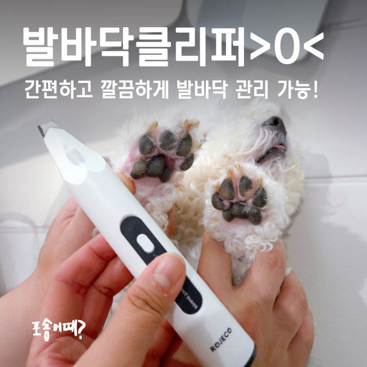  로제코 강아지 발바닥 클리퍼, 저소음 LED까지 완벽
