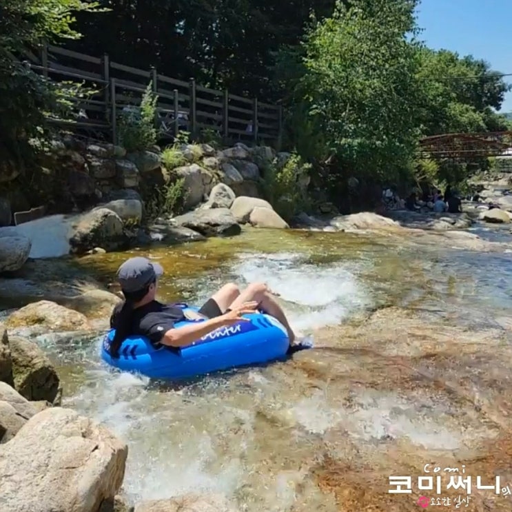  포천 가볼 만한 곳 청운쉼터 물놀이 가능한 베이커리 카페 당일 여름 피서지로 제격! 애견 동반 가능