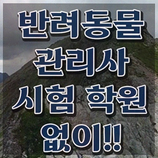  반려동물복지관리사 , 반려동물관리사 자격증 취득한 정보 준비했어요