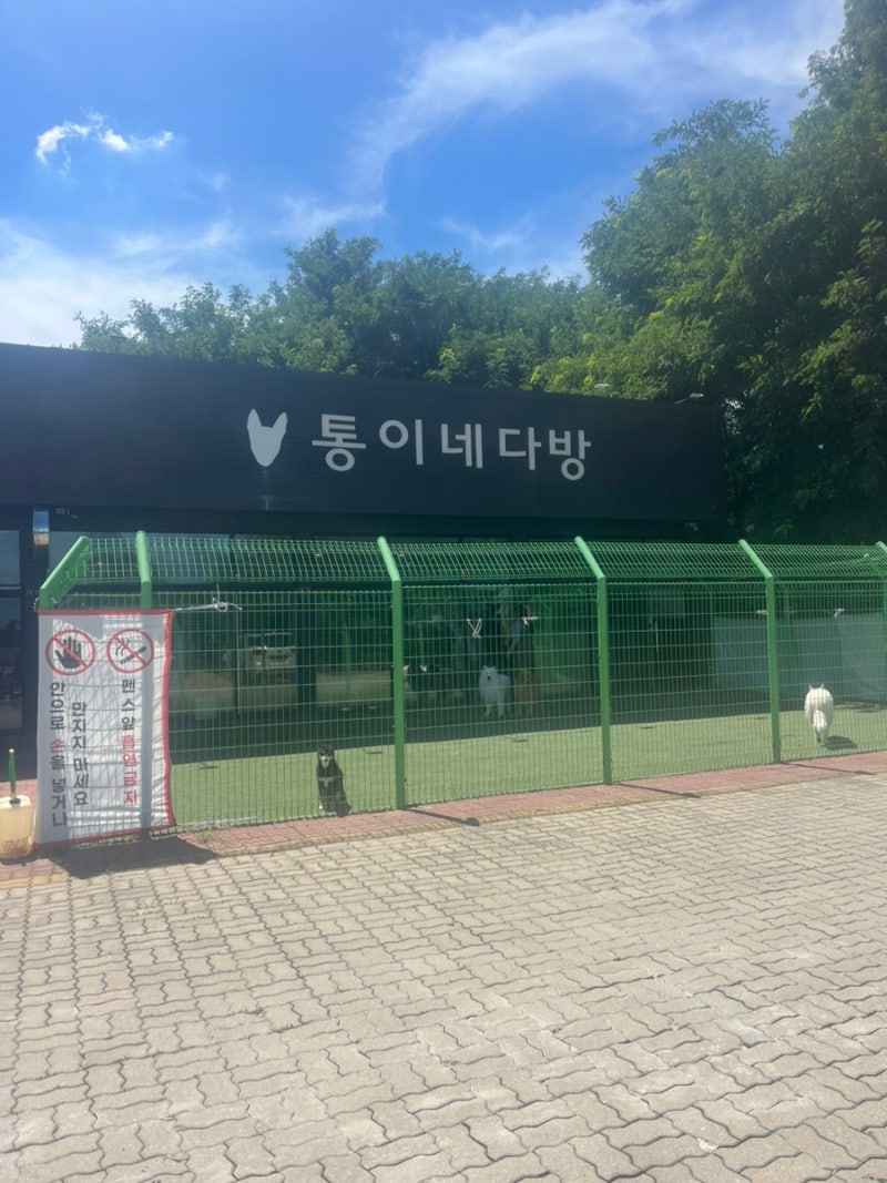 통이네다방